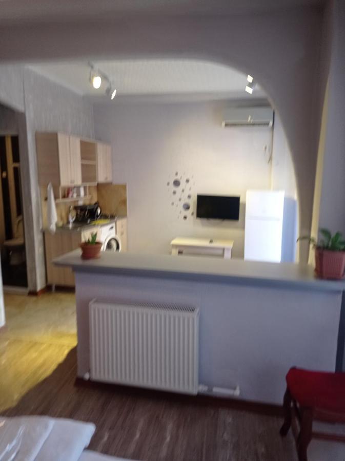 Guesthouse Melikishvili 57 バトゥーミ エクステリア 写真